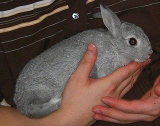 番頭ビクビク(;´Д`A