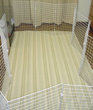 広げてみた