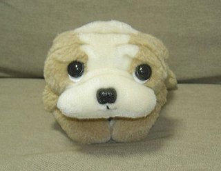 パコどすえ
