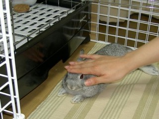 いいこいいこ♪