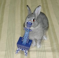 た、たおれる〜