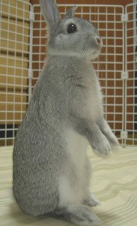 おおきくなりました!