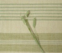 ちょっとお残し