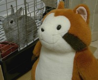 ホゥホゥホゥ♪