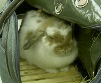 緊張でちょっと小さくなってます