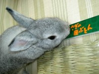 すりすりすり♪