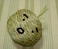 とまどいのりんりん君