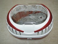 キョトン、どこいくの?