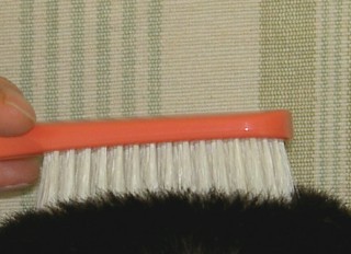 血行もよくなるかな?