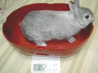 1052グラム