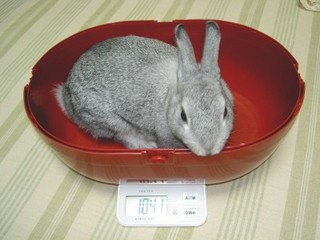 1041グラム