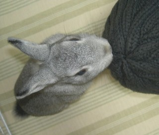 今日もなめとこ!