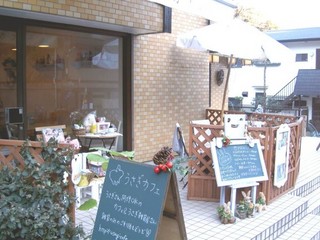 うさぎカフェ