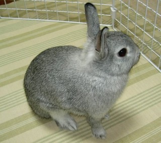 ハッ!?