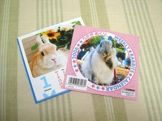 うさぎめくり♪