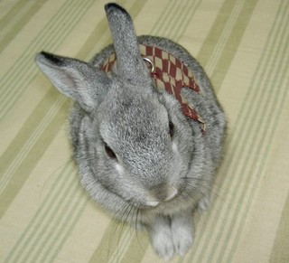 今日ははいからさん風できめてみました