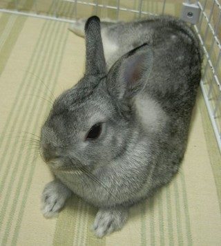よっこいしょ♪