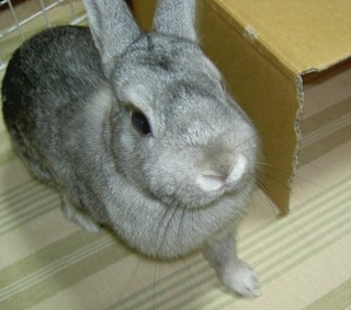 続きはまた明日♪