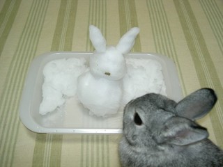 やっぱりおいちい♪