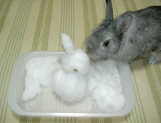 がぶがぶ