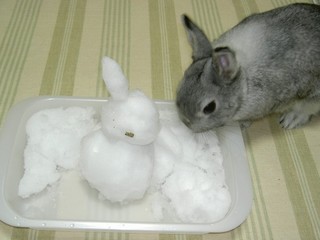 つめたくておいちい♪