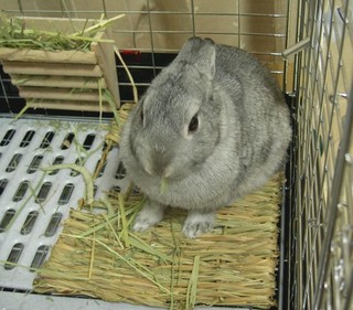 あ、マナちゃん食べてるよ!