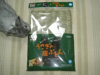 つんつん