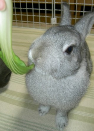 あむっ