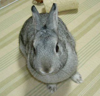 いいこです♪