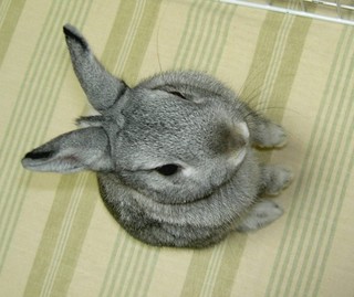 だから、なによ!?