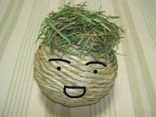 やあ、ぼくりんりん君!