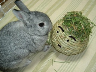 どきどきするりんりん君