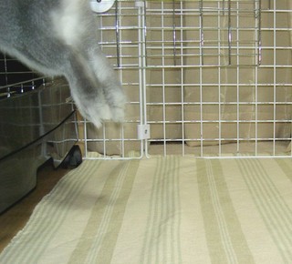 うさぎとび♪