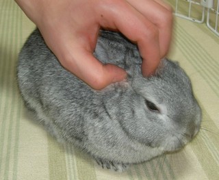 そこそこ♪