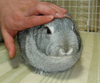ふにゃ〜