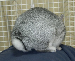 あ、ありがとう・・・