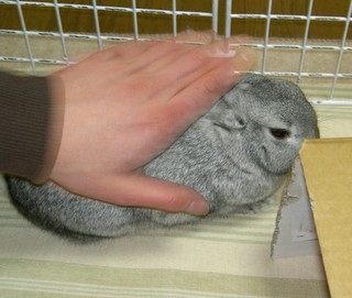 まったり♪