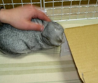番頭「あの〜・・・」