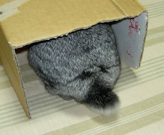 ごそごそ♪