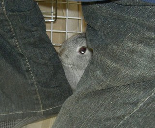 どっからみてるの、マナちゃん・・・