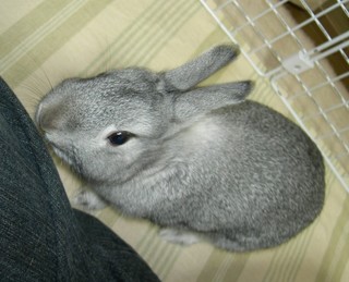 つんつん♪