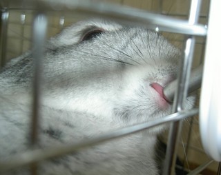 うまうまうま♪