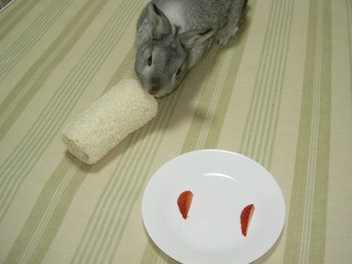 がじがじがじっ