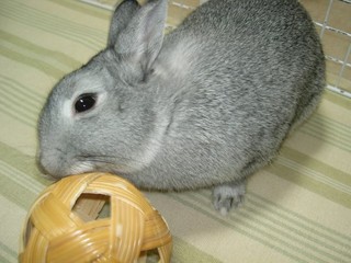 これあたしのね〜♪
