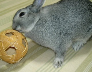 お味見お味見♪