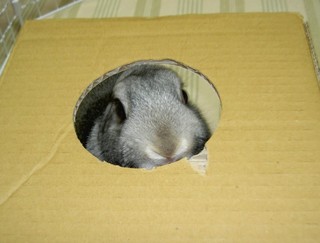 なんですか〜♪