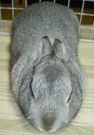 むにゃむにゃ♪