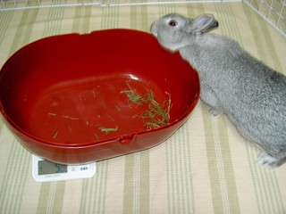 これあたしのね♪