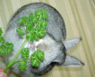 す〜りす〜り♪