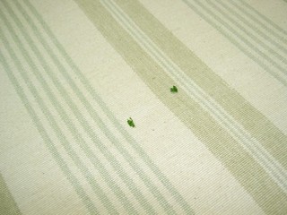 ぽつん・・・
